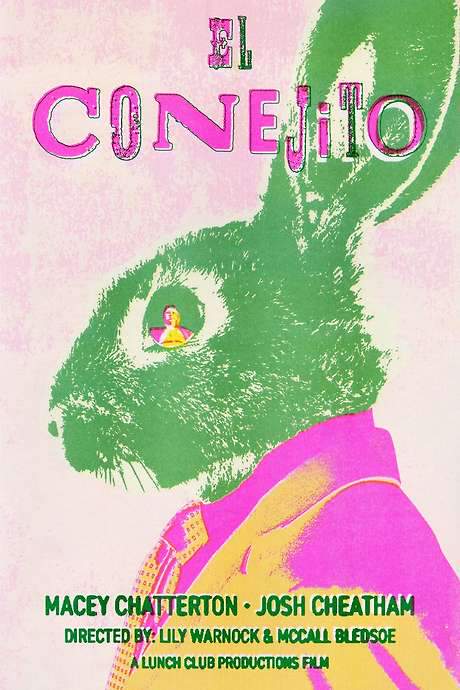   Compliance tastes like butt.  A troubled young woman goes on a hallucinatory journey of self discovery after the accidental murder of an innocent baby bunny.  